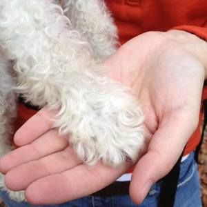 Meet your Posher, Jodi